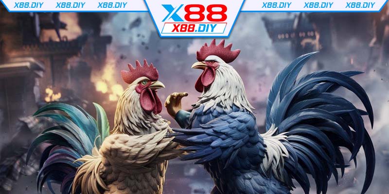 cac-diem-can-nho-khi-trai-nghiem-bo-mon-da-ga