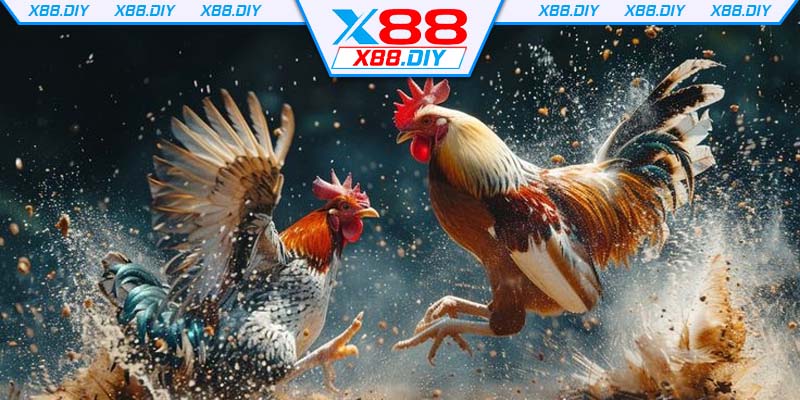 su-cuon-hut-manh-me-den-tu-sanh-dau-da-ga-x88